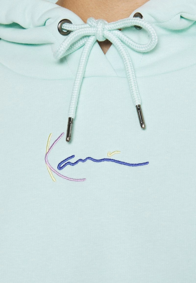 Le migliori recensioni di 𧨠Karl Kani SMALL SIGNATURE HOODIE - Felpa - Mint, Donna π 8 Le migliori recensioni di 𧨠Karl Kani SMALL SIGNATURE HOODIE - Felpa - Mint, Donna π - immagine 6